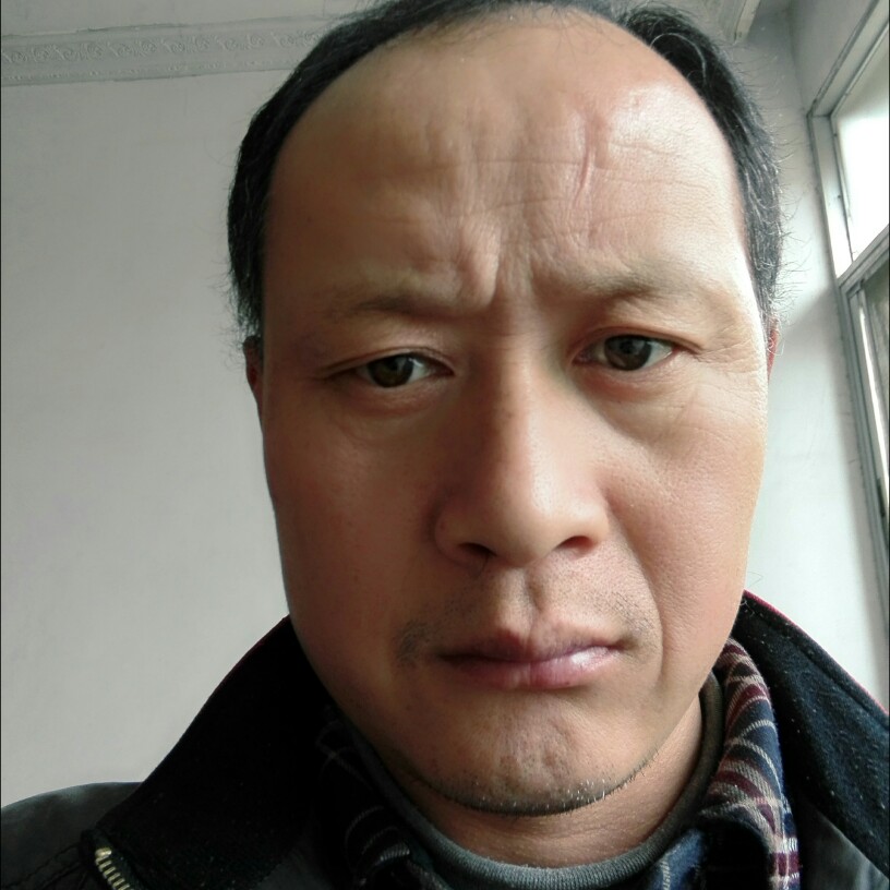 勤劳康乃馨的照片
