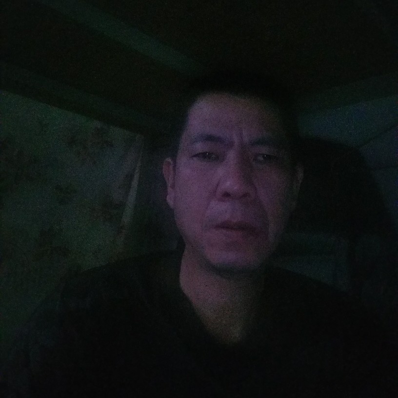 捂桐的照片