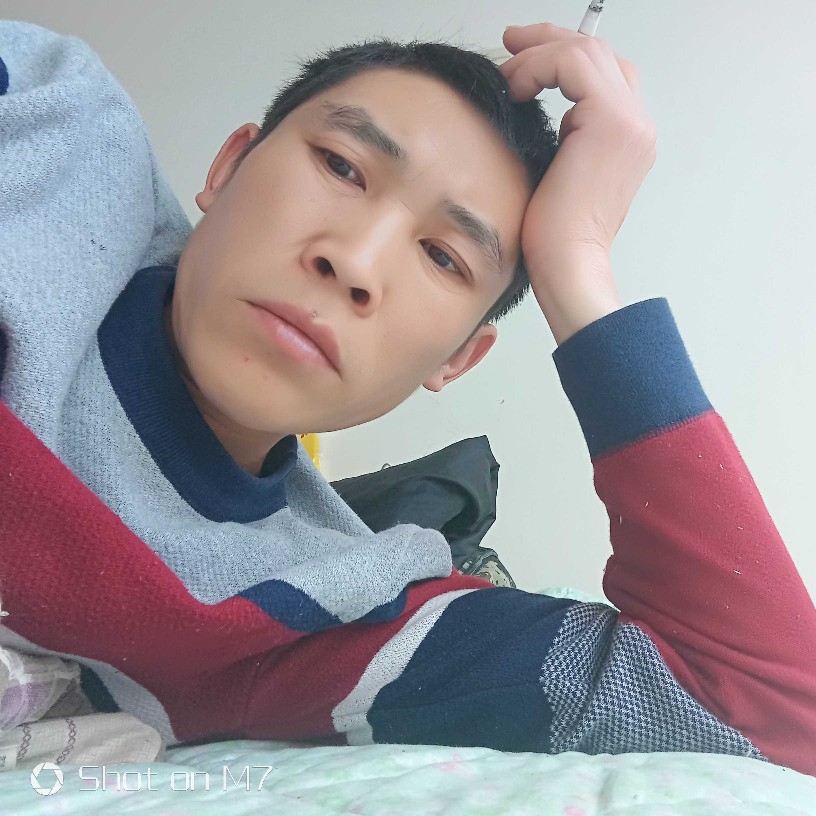 大方还小海豚的照片
