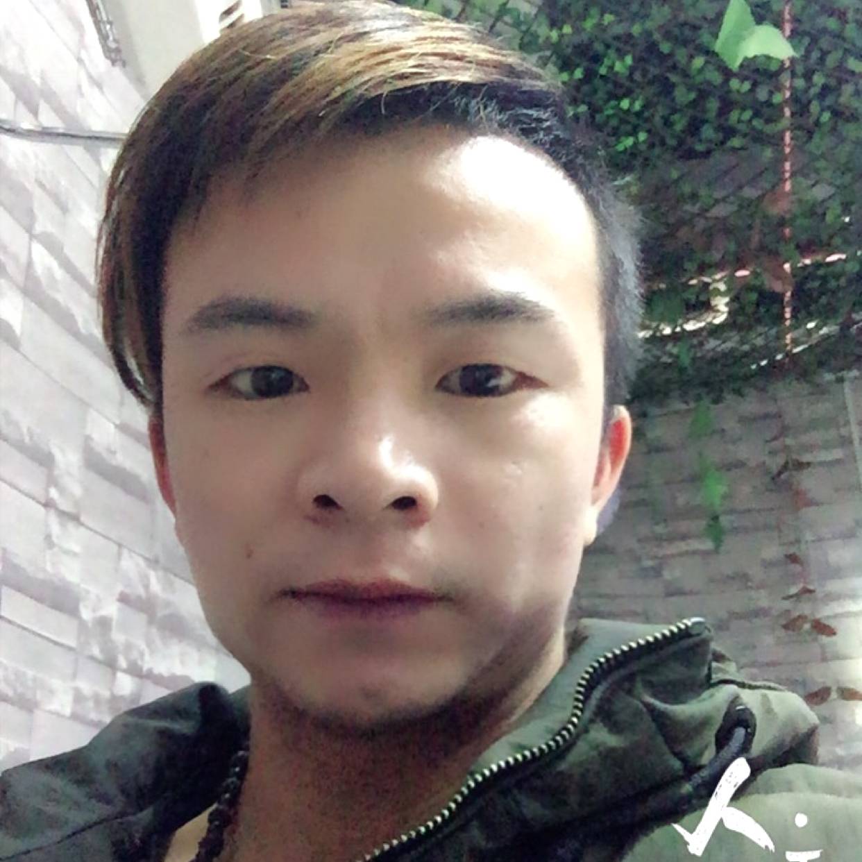 如梦爱恋鳗鱼的照片