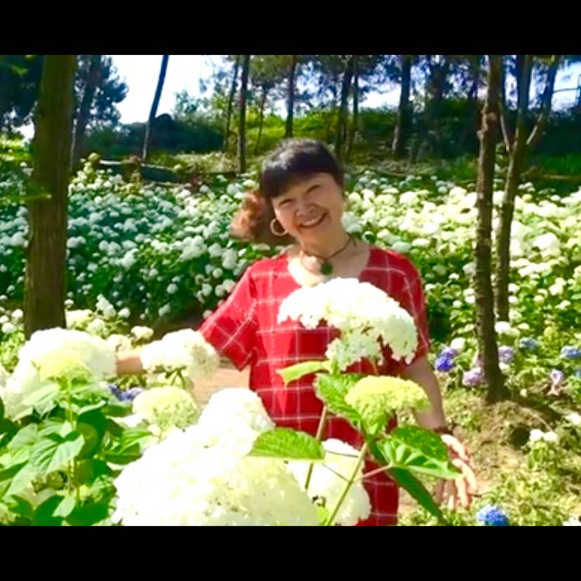 山花烂漫等你来的照片