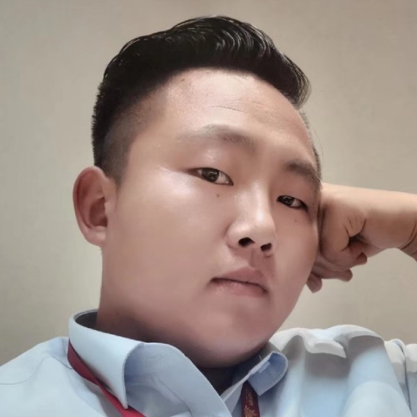 乌龟帅气的照片