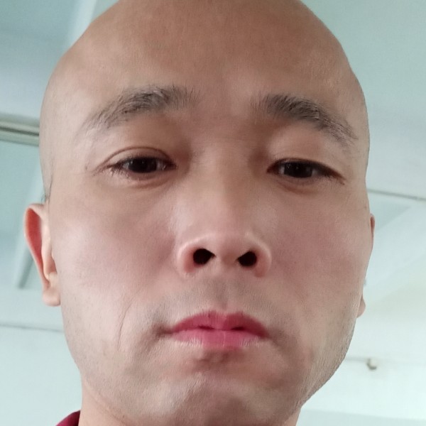 仙人掌等待义气的照片