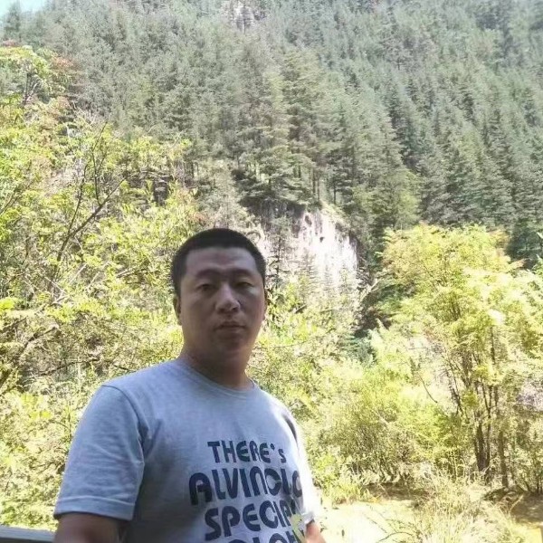 蚂蚁淡定的照片