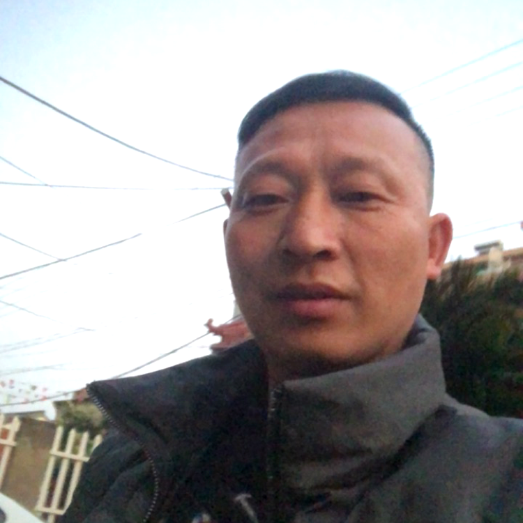 大碗倾心典雅的照片