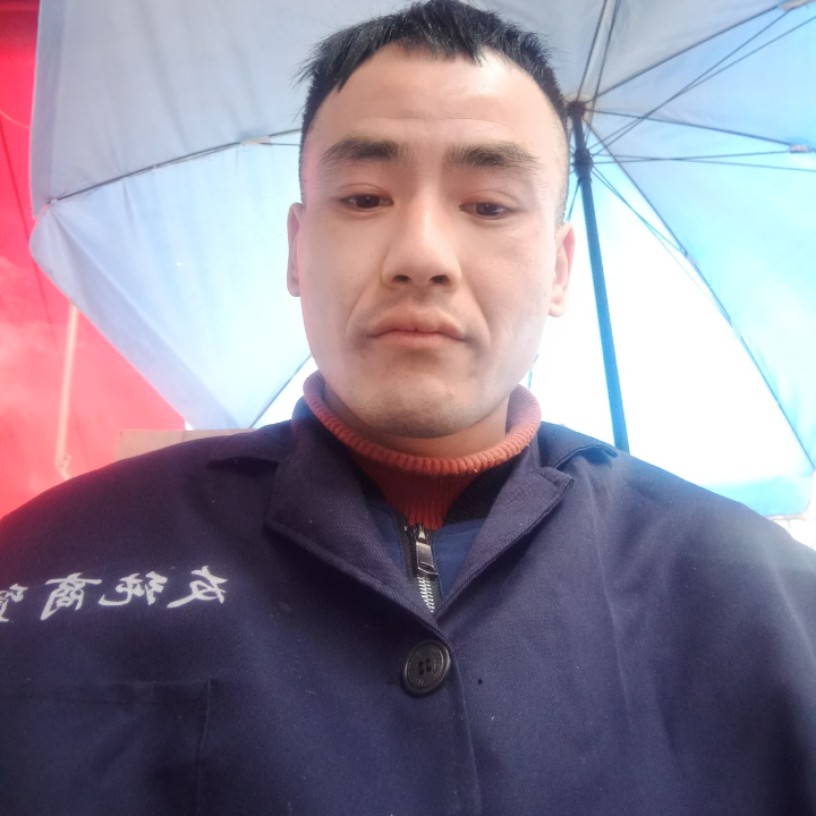 称心邂逅歌曲的照片