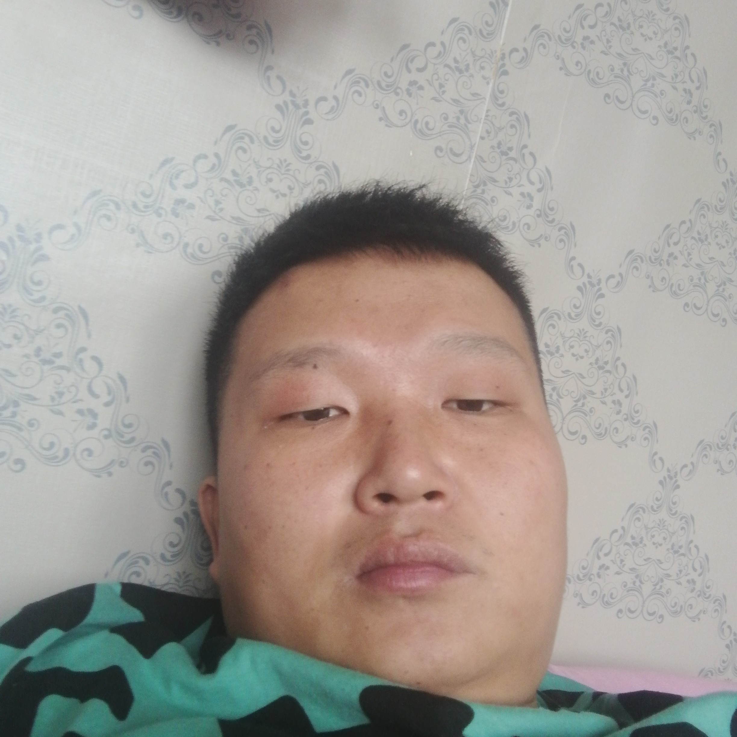 亲爱的泪了猫咪的照片