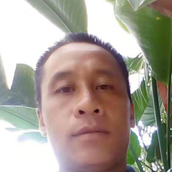 会员558335310的照片