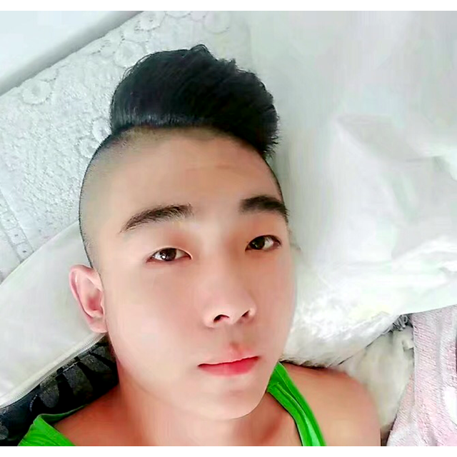 尼克猫的照片