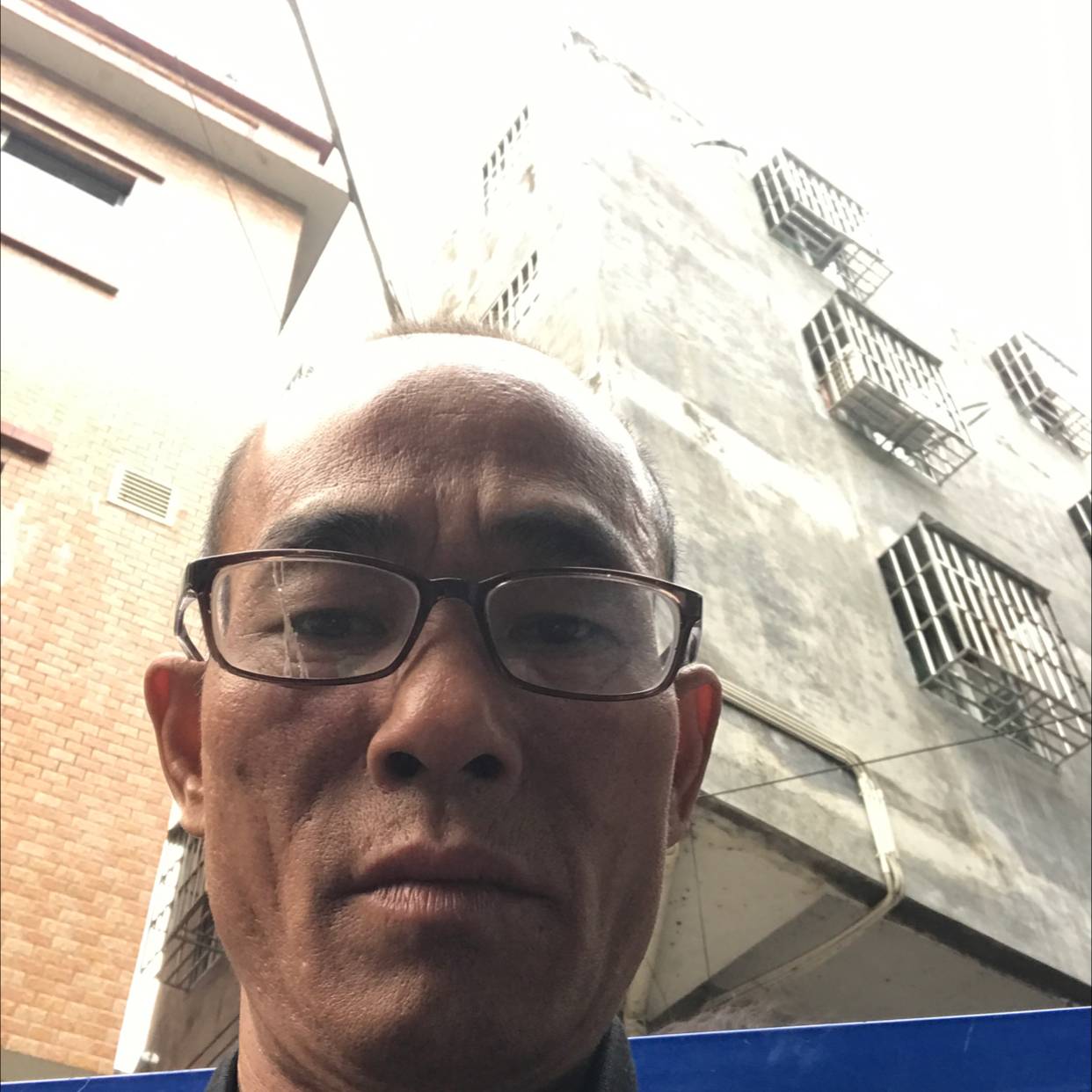 大树多么故意的照片