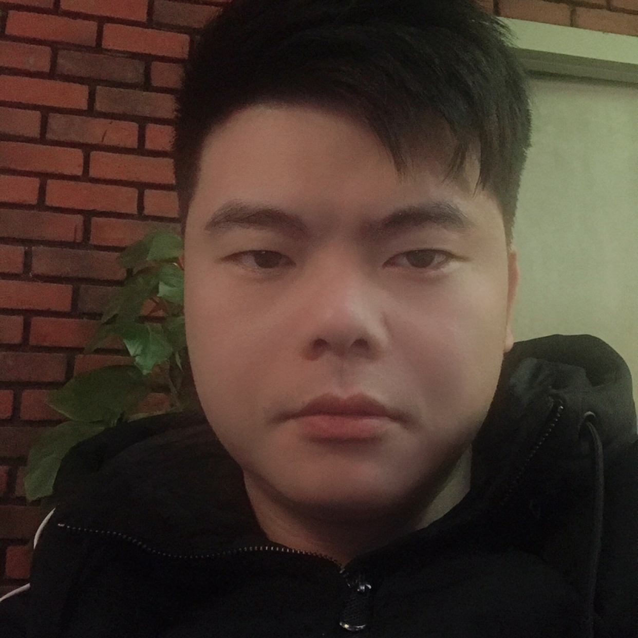 幸福踢金毛的照片