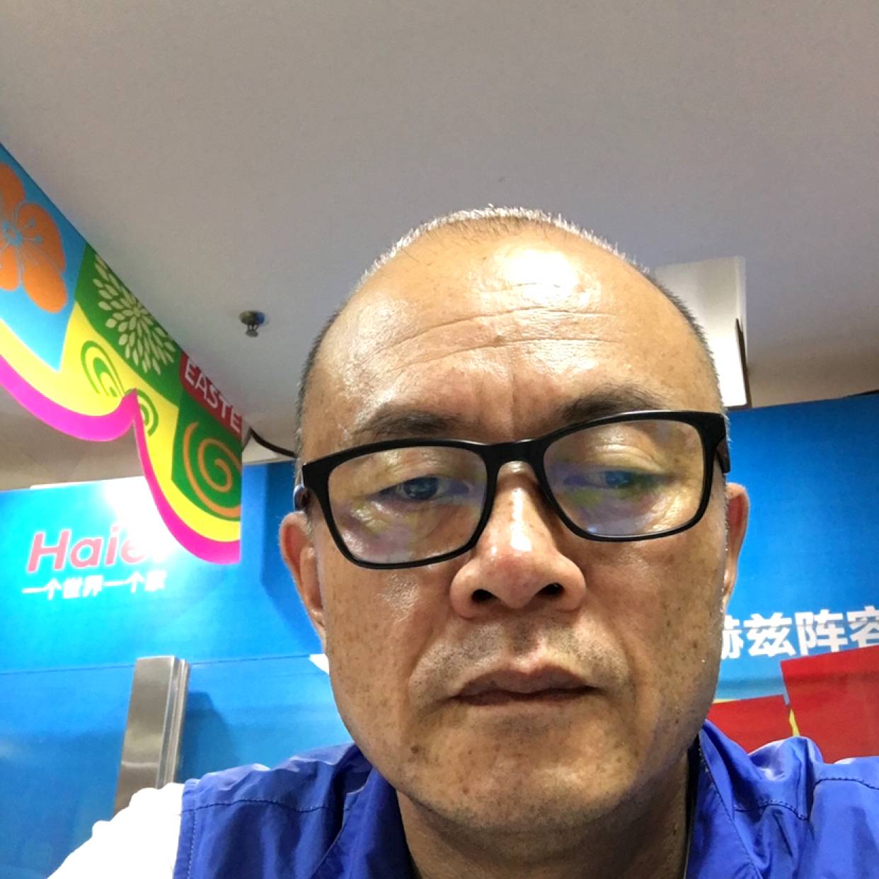 纸鹤敏感的照片