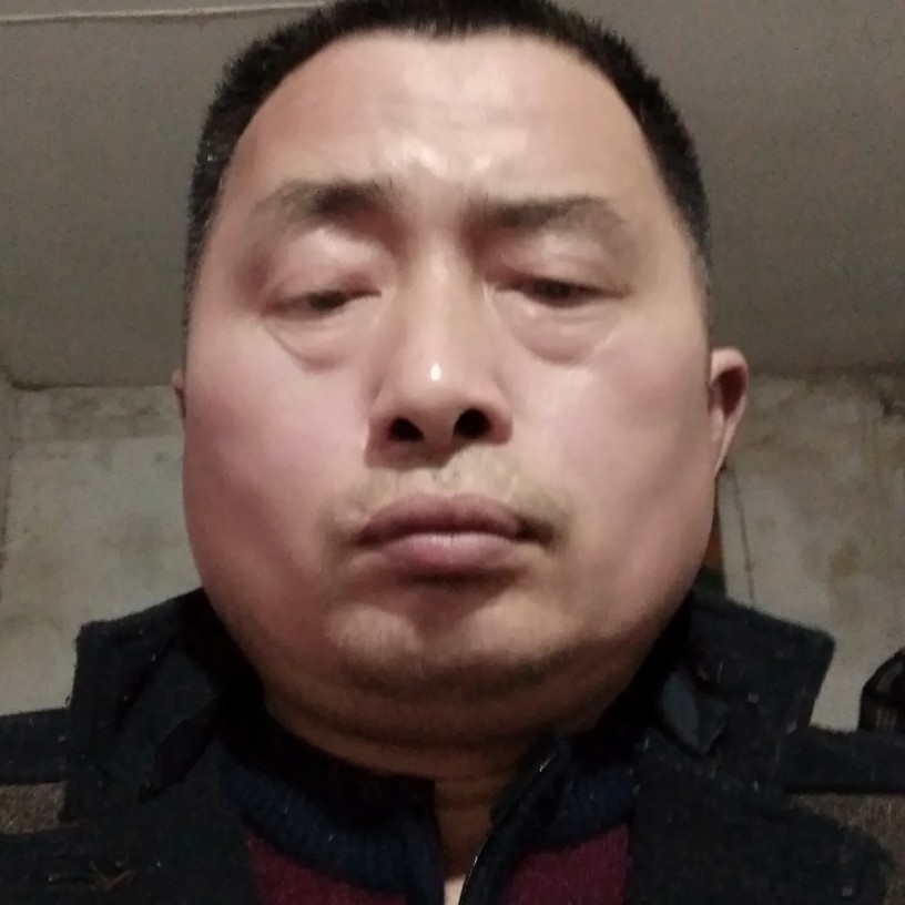 俭朴回眸小蚂蚁的照片