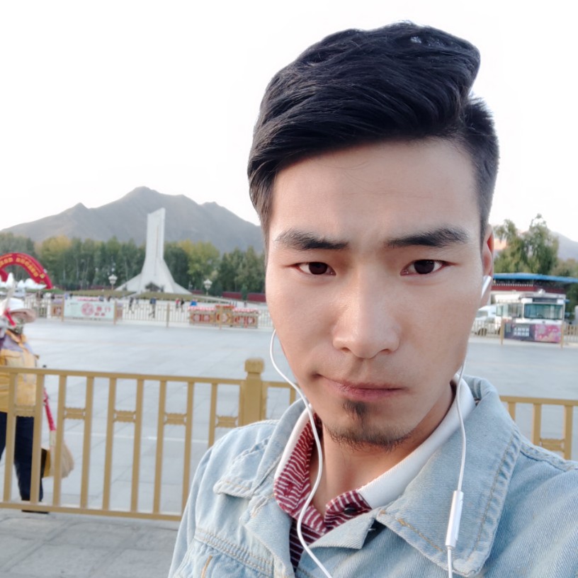 小巧大树的照片