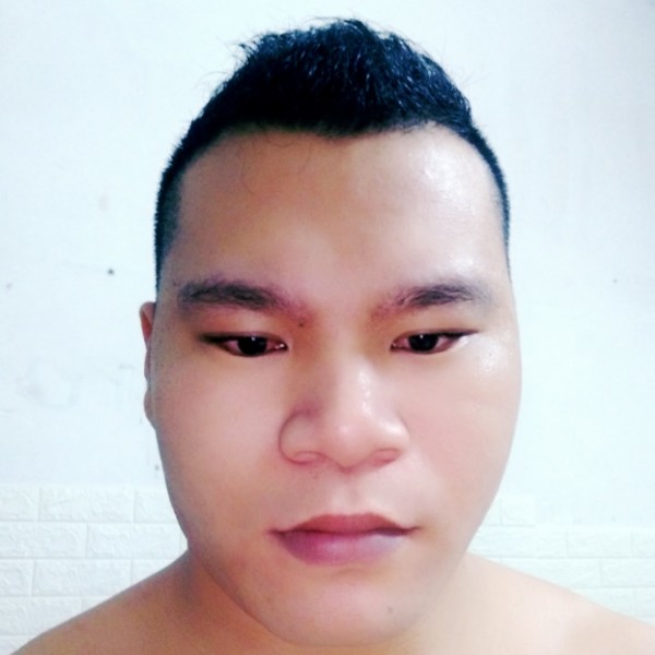猎豹蹁跹含蓄的照片