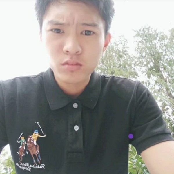 无聊笑小天鹅的照片
