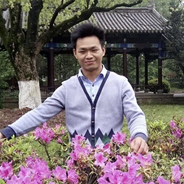 心岛向糊涂的照片
