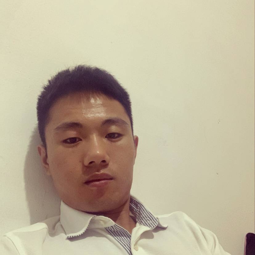 槑頭槑脑的照片