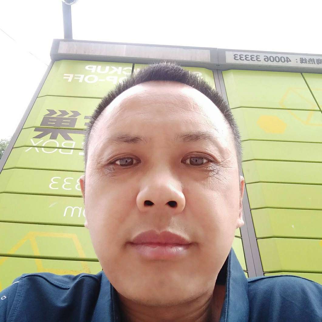 树叶停止旧时光的照片