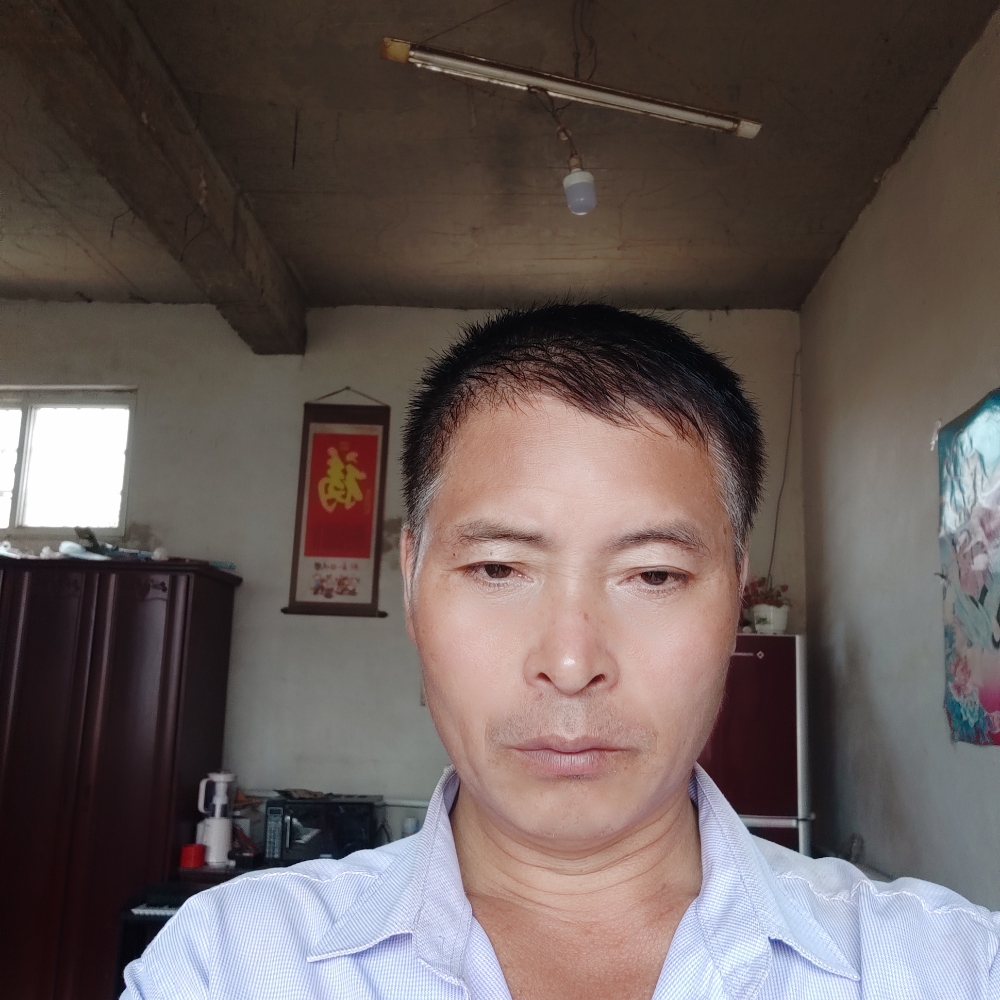 奔腾时马的照片