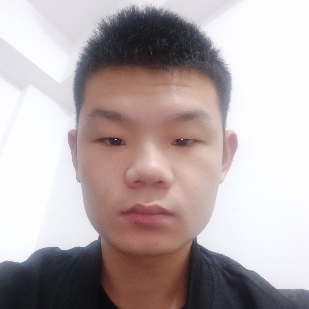 隐忍和刺猬的照片