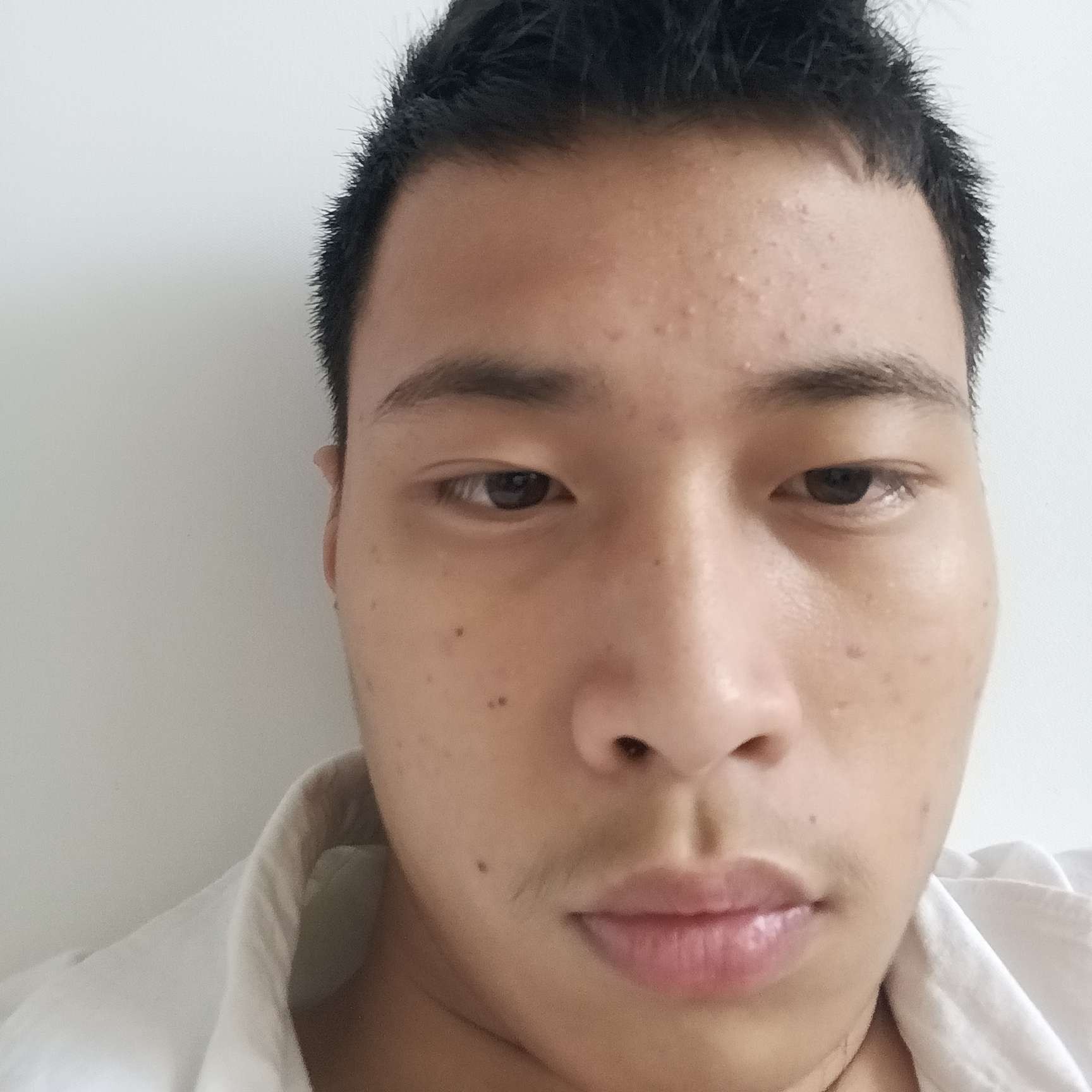 小天鹅和从容的照片