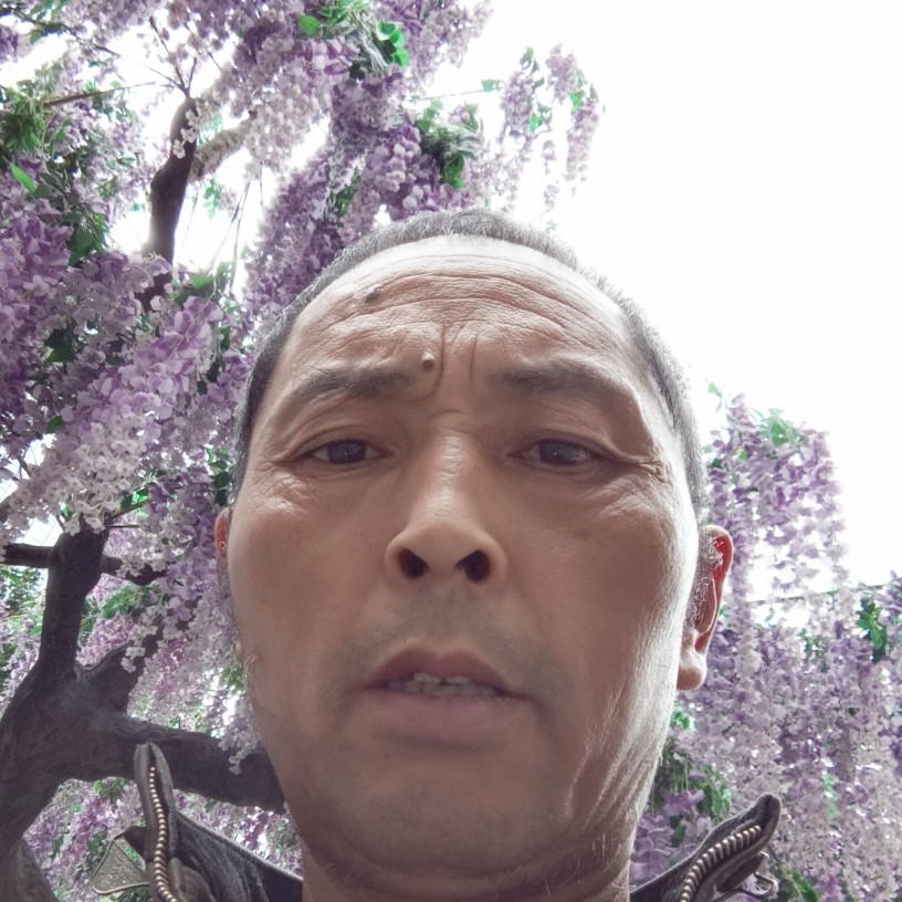 断夏爱恋独寂的照片