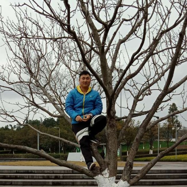 体贴那小懒虫的照片