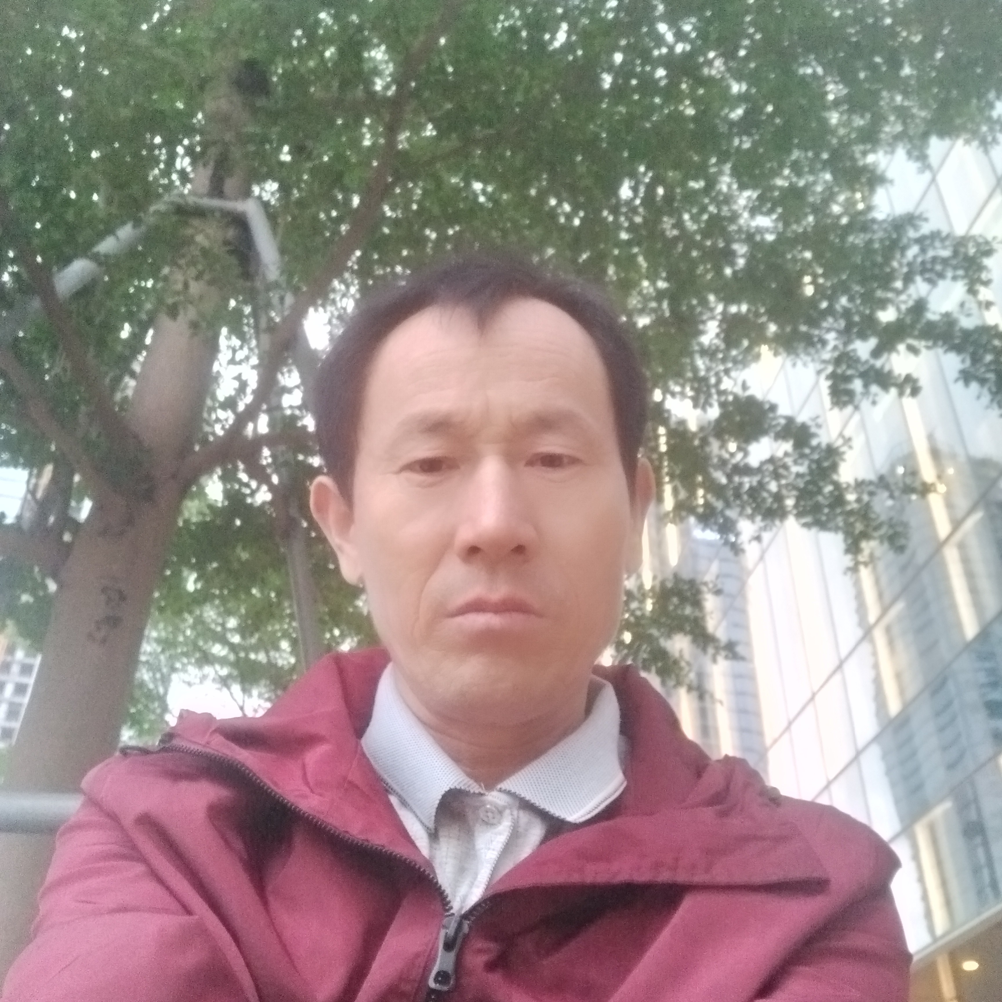 贪玩多么金鱼的照片