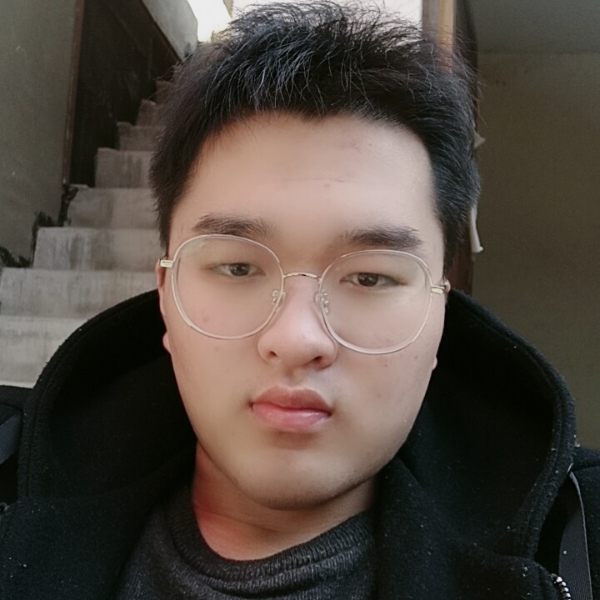 小懒猪现代的照片