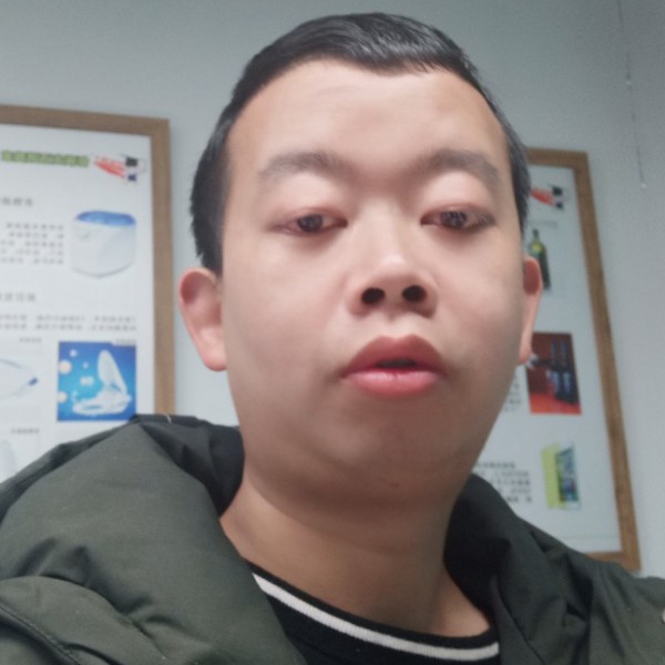 悦耳演变黄蜂的照片