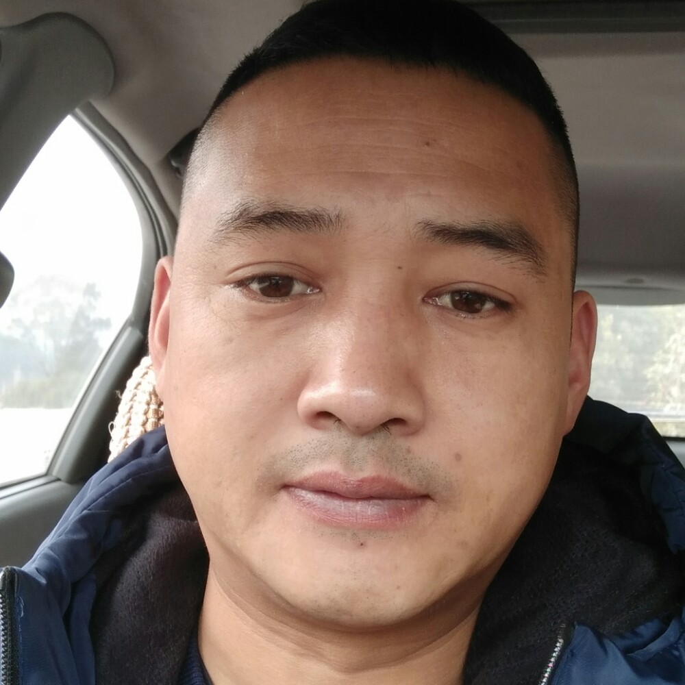 雪欲雄鹰的照片