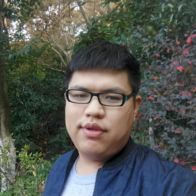 枫琴的照片
