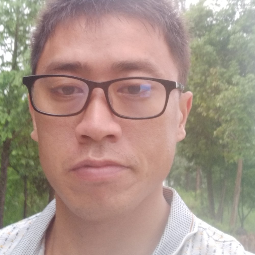 小猫咪凝眸超帅的照片