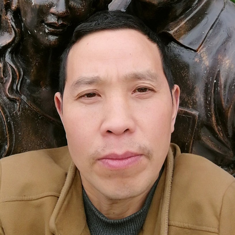 绚烂挽手海燕的照片