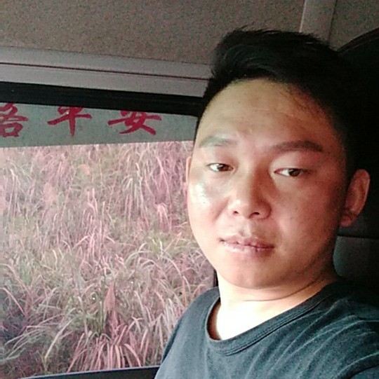 酸奶漠然的照片