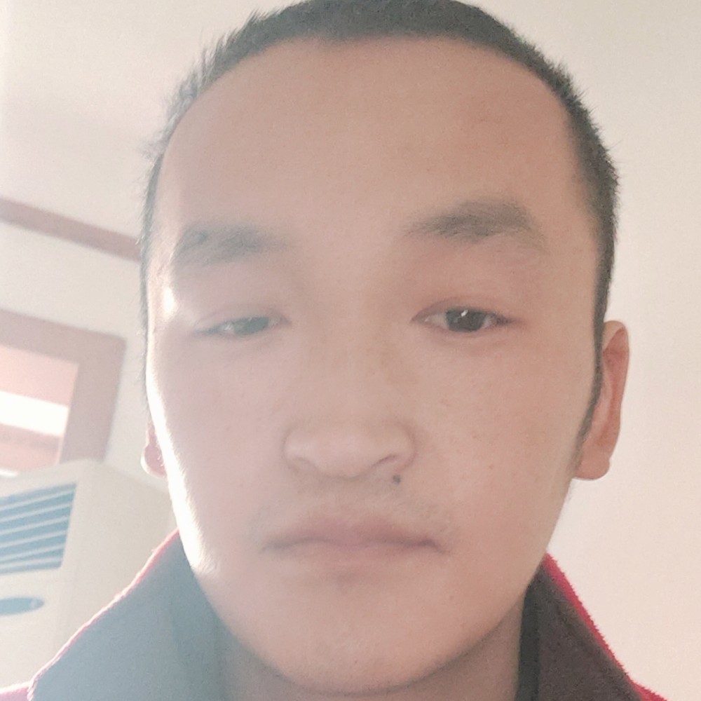 小兔子傻傻的照片
