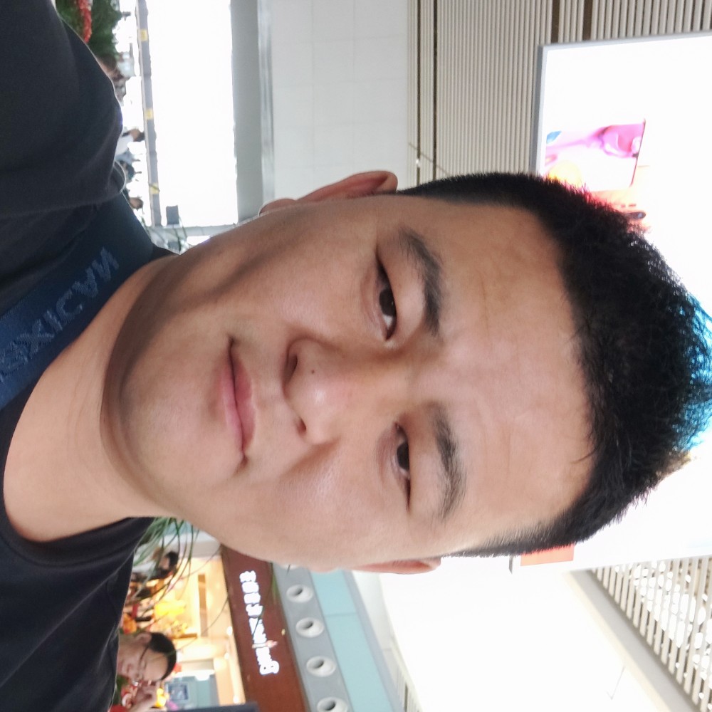 刺猬外向的照片
