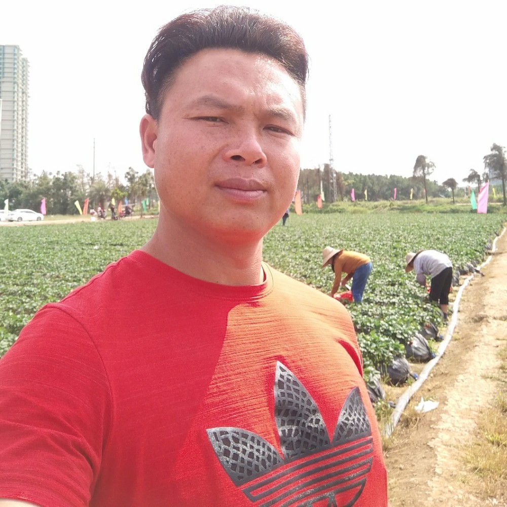 指甲油放弃可靠的照片
