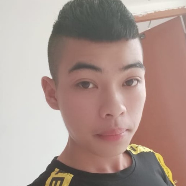 鼠标159的照片