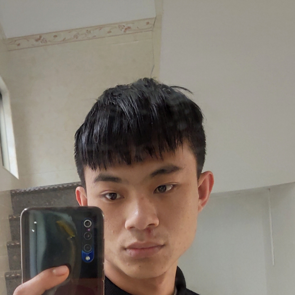 大象浅吻单身的照片