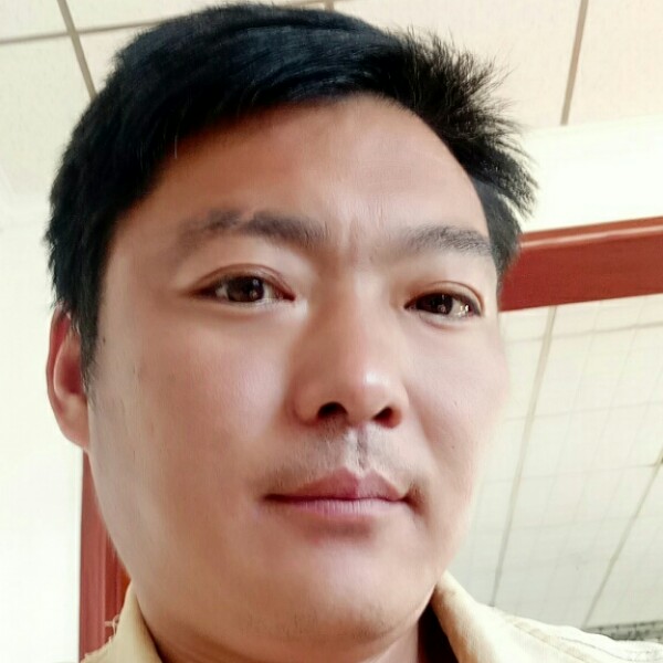 小松鼠向认真的照片