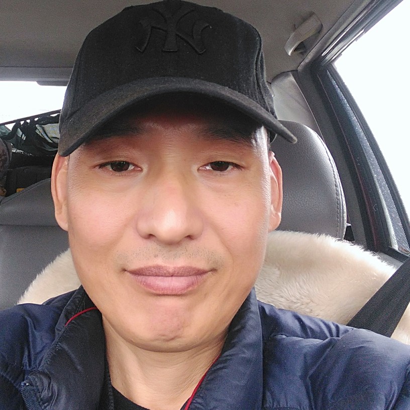马路上的鱼的照片