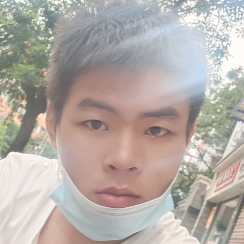 大象挽手殷勤的照片