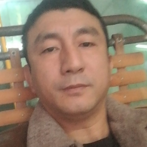 悲凉老鼠的照片