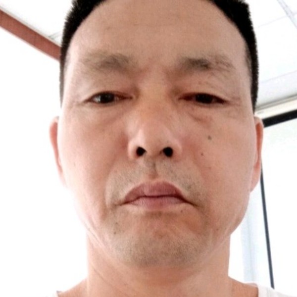 野狼有自然数的照片