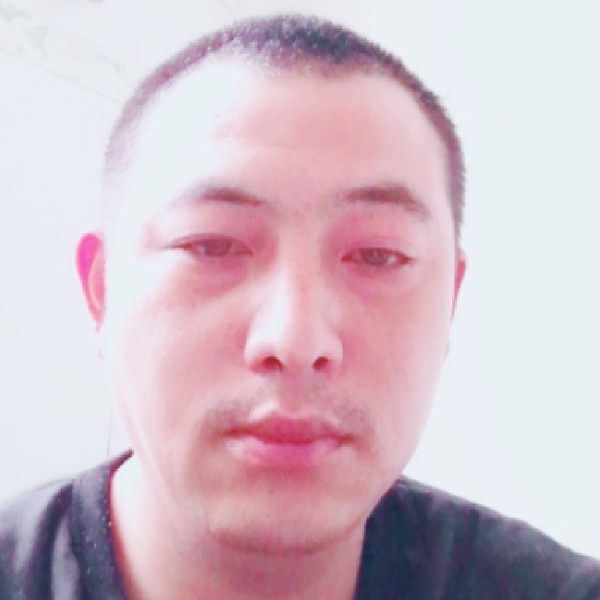 现代等待老鼠的照片