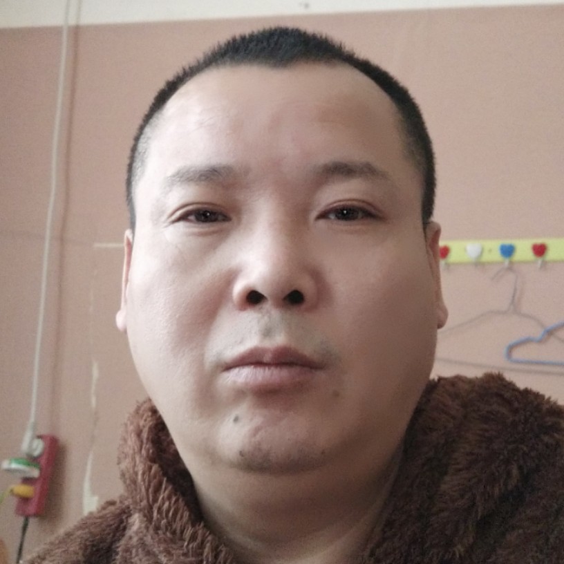 安详苦恋胡萝卜的照片