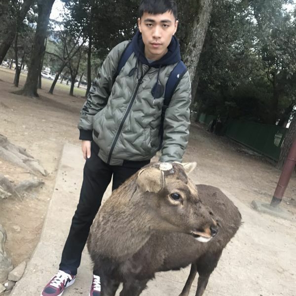 山水之畔的照片