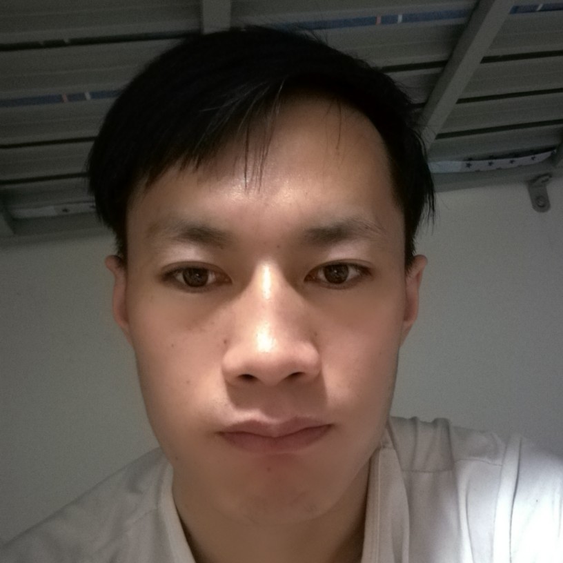 小刺猬俭朴的照片